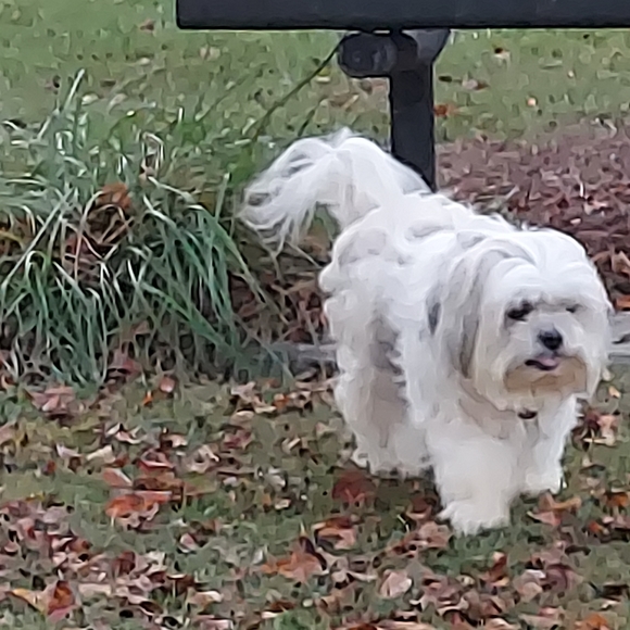 Meet your Posher, Sheldon - Picture 11 of 16